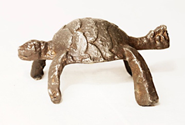 Duit Tampang (Kura-Kura)