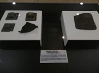 Jongkong Tanah Piramid