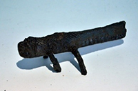 Matawang Berbentuk Belalang