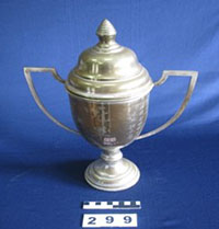 Piala Bola Keranjang (Gold)