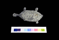 Wang Tampang Timah Bentuk Kura-Kura