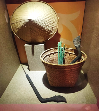 Menyemai Benih Sawah Padi